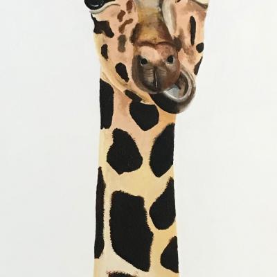 Giraffe No Gum